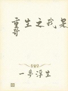 重生之我是大帅哥