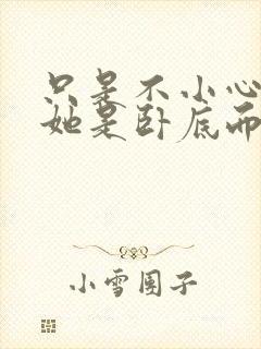 只是不小心发现她是卧底而已