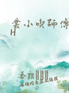 丛小吃师傅的HH
