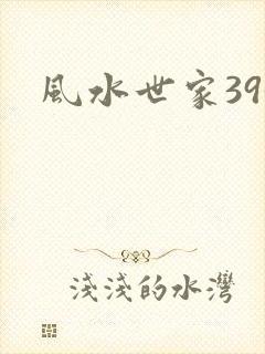 风水世家393