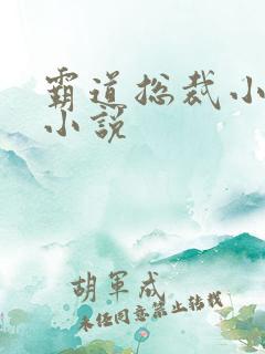 霸道总裁小娇妻小说