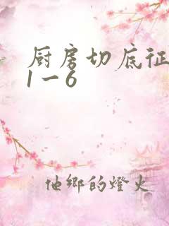 厨房切底征服岳1一6
