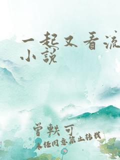 一起又看流星雨小说