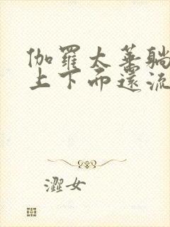 伽罗太华躺在床上下面还流东西