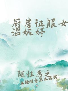 厨房征服女市长温婉婷