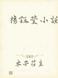 杨钰莹小说阅读