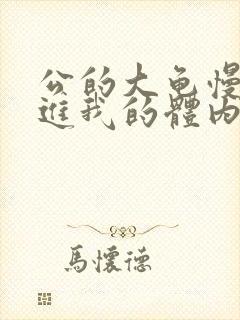 公的大龟慢慢挺进我的体内