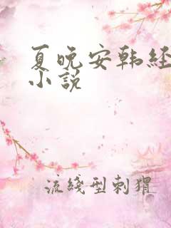夏晚安韩经年的小说