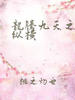 龙腾九天之异世纵横