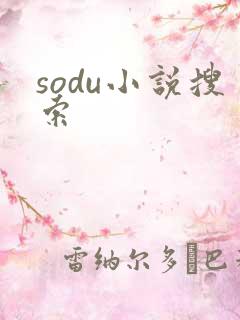 sodu小说搜索