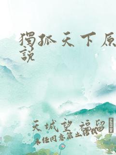 独孤天下原著小说