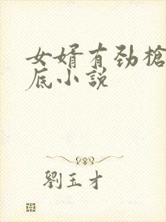 女婿有劲枪枪到底小说