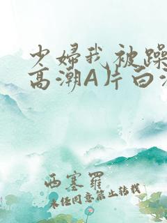 少妇我被躁爽到高潮A片白洁