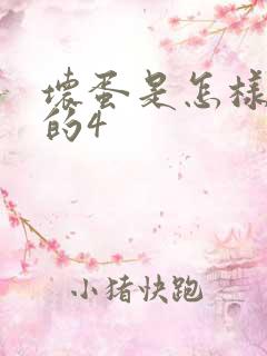 坏蛋是怎样炼成的4