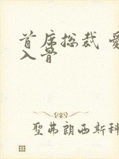 首席总裁 爱你入骨