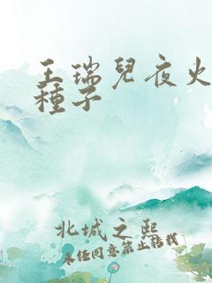 王瑞儿夜火全套种子