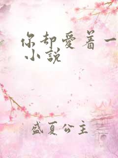 你却爱着一个他 小说