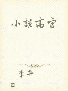 小说高官