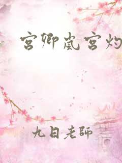宫卿岚宫灼小说