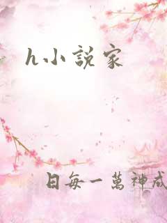 h小说家
