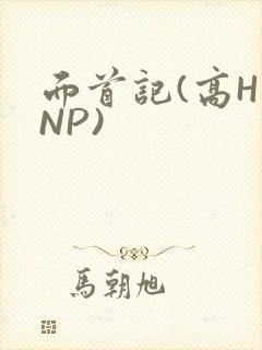 面首记(高H NP)