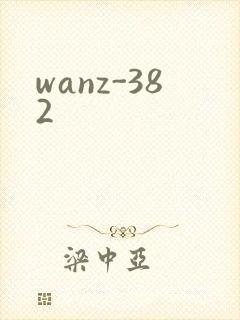 wanz-382