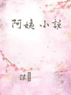 阿姨 小说
