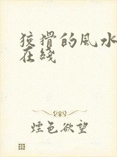 狡猾的风水相师在线