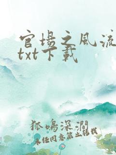 官场之风流人生txt下载