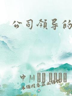 公司领导的老婆