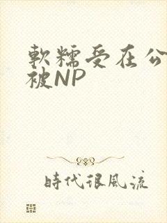 软糯受在公交车被NP