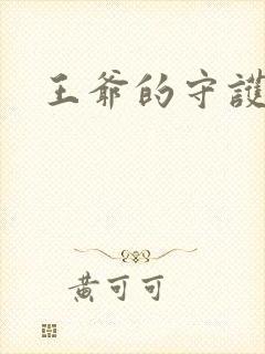 王爷的守护男妃