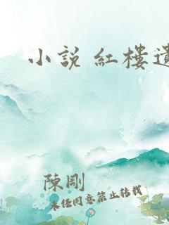 小说 红楼遗秘