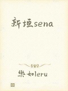 新垣sena