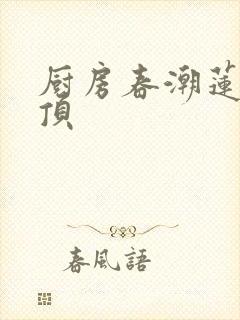 厨房春潮莲花坐顶