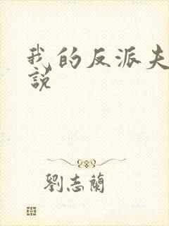 我的反派夫君小说
