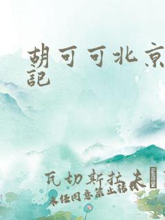 胡可可北京成功记