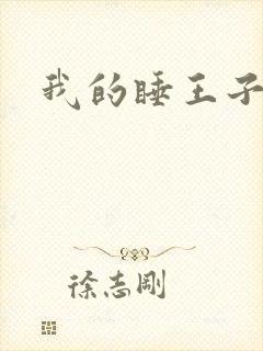 我的睡王子殿下