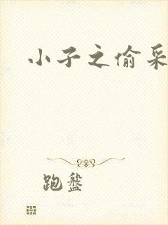 小子之偷采双圣