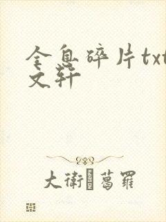 全息碎片txt文轩