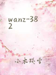wanz-382