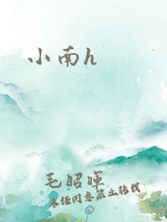 小南h