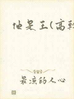 他是王(高干)