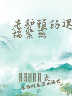 老驴头的退休幸福紫燕