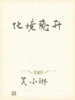 化境飞升