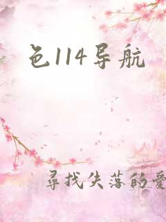 色114导航