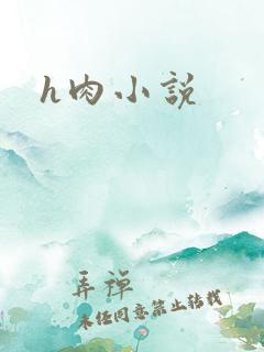 h肉小说