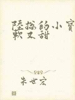 陆总的小宝贝又软又甜