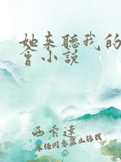 她来听我的演唱会小说