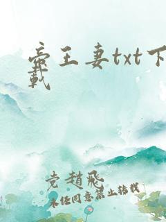 帝王妻txt下载